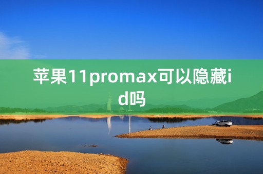 苹果11promax可以隐藏id吗