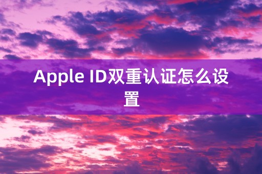 Apple ID双重认证怎么设置