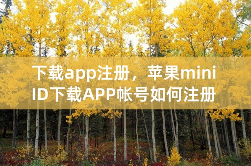 下载app注册，苹果mini ID下载APP帐号如何注册 图