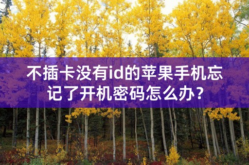 不插卡没有id的苹果手机忘记了开机密码怎么办？