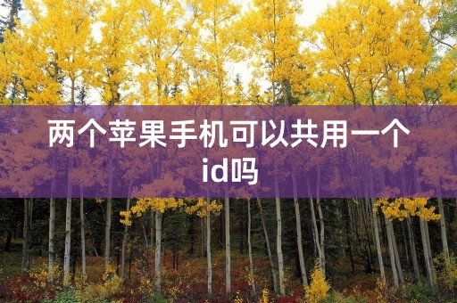 两个苹果手机可以共用一个id吗