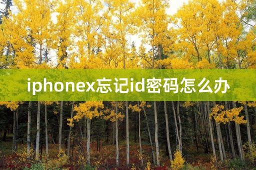 iphonex忘记id密码怎么办