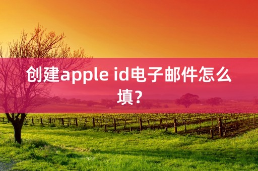 创建apple id电子邮件怎么填？