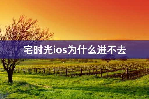 宅时光ios为什么进不去