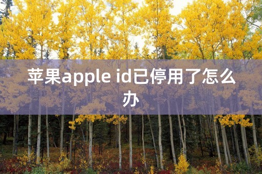 苹果apple id已停用了怎么办