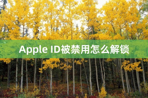 Apple ID被禁用怎么解锁