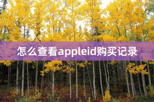 怎么查看appleid购买记录