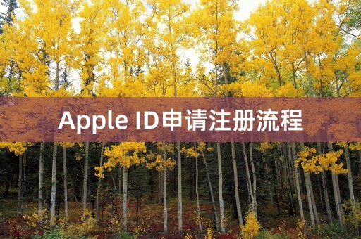 Apple ID申请注册流程