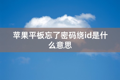 苹果平板忘了密码绕id是什么意思