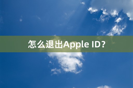 怎么退出Apple ID？