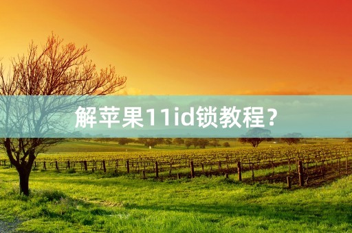 解苹果11id锁教程？