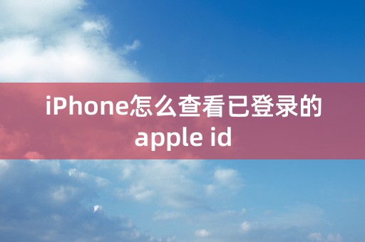 iPhone怎么查看已登录的apple id