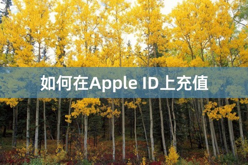 如何在Apple ID上充值