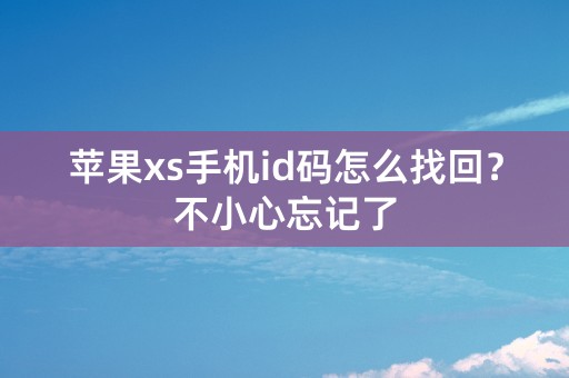 苹果xs手机id码怎么找回？不小心忘记了