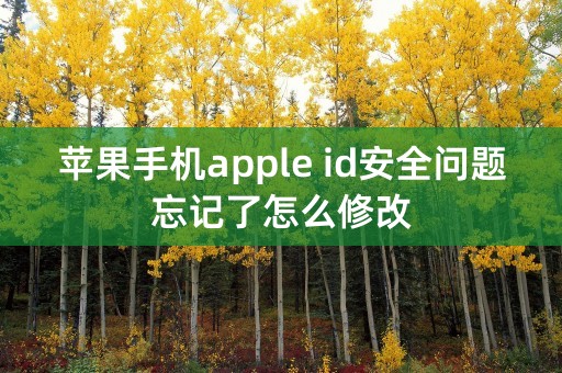 苹果手机apple id安全问题忘记了怎么修改