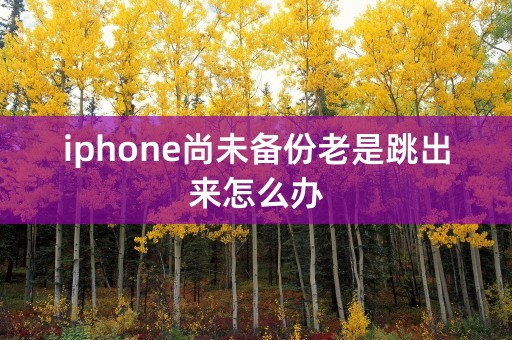 iphone尚未备份老是跳出来怎么办