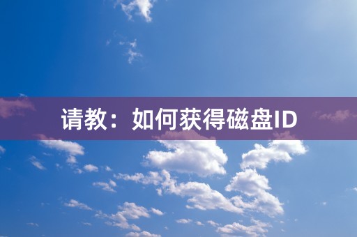 请教：如何获得磁盘ID