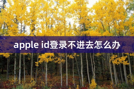 apple id登录不进去怎么办