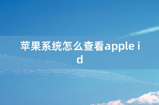 苹果系统怎么查看apple id