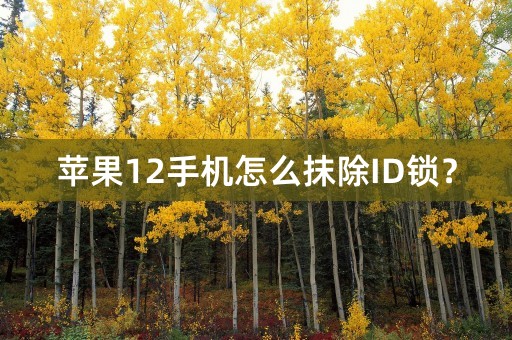 苹果12手机怎么抹除ID锁？