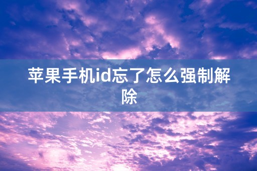 苹果手机id忘了怎么强制解除