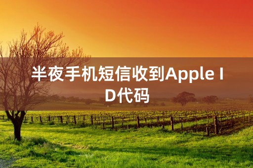 半夜手机短信收到Apple ID代码