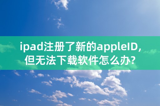 ipad注册了新的appleID,但无法下载软件怎么办?