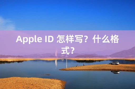 Apple ID 怎样写？什么格式？