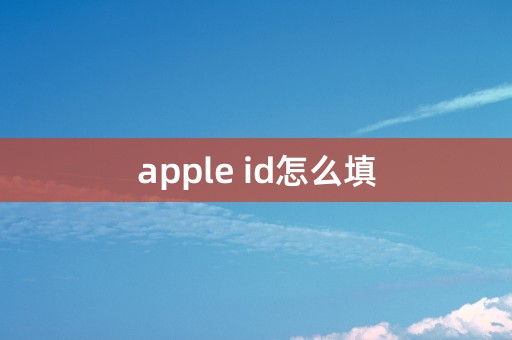 apple id怎么填