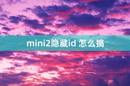 mini2隐藏id 怎么搞