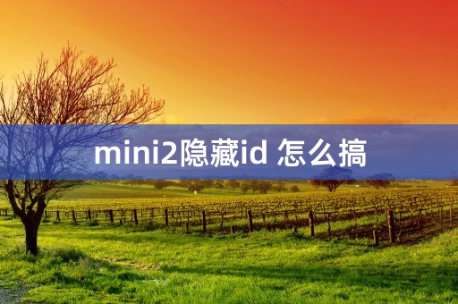 mini2隐藏id 怎么搞