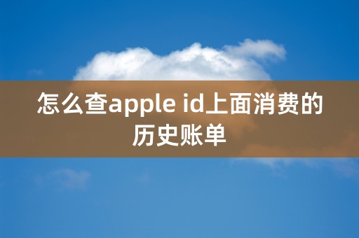 怎么查apple id上面消费的历史账单