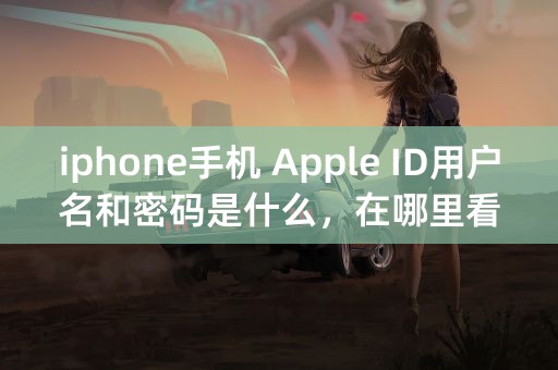 iphone手机 Apple ID用户名和密码是什么，在哪里看？