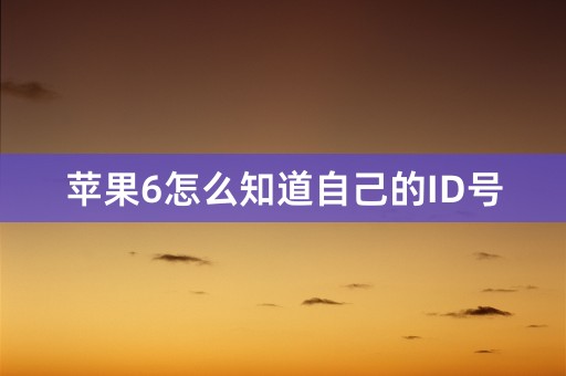 苹果6怎么知道自己的ID号