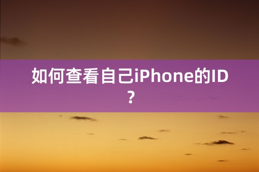 如何查看自己iPhone的ID？