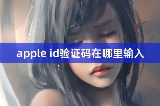 apple id验证码在哪里输入