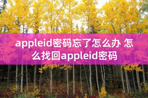 appleid密码忘了怎么办 怎么找回appleid密码