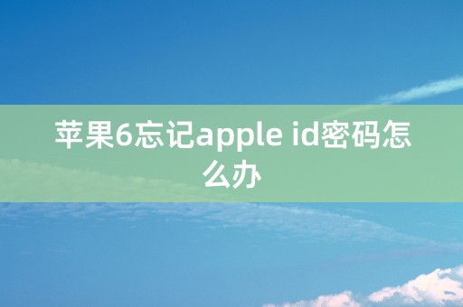 苹果6忘记apple id密码怎么办