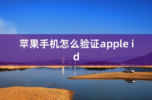 苹果手机怎么验证apple id