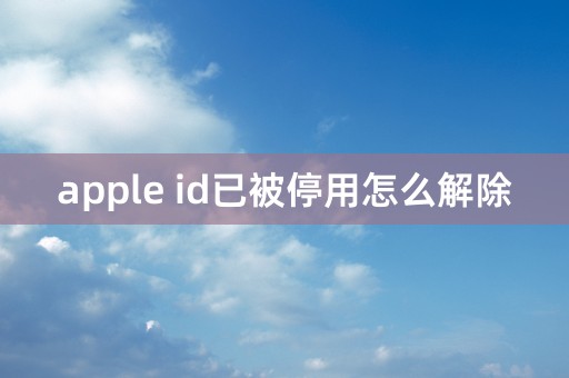 apple id已被停用怎么解除