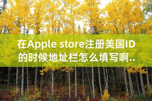 在Apple store注册美国ID的时候地址栏怎么填写啊..