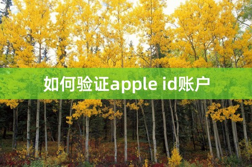 如何验证apple id账户