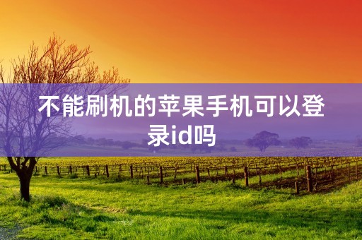 不能刷机的苹果手机可以登录id吗