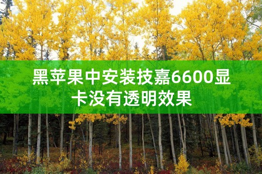 黑苹果中安装技嘉6600显卡没有透明效果