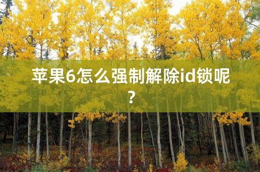 苹果6怎么强制解除id锁呢？