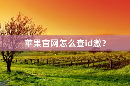 苹果官网怎么查id激？