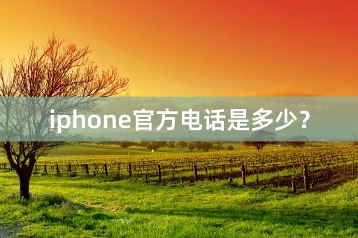 iphone官方电话是多少？