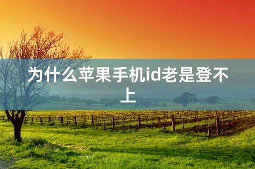 为什么苹果手机id老是登不上