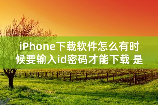 iPhone下载软件怎么有时候要输入id密码才能下载 是不是有问题了？