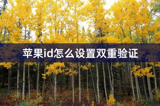 苹果id怎么设置双重验证